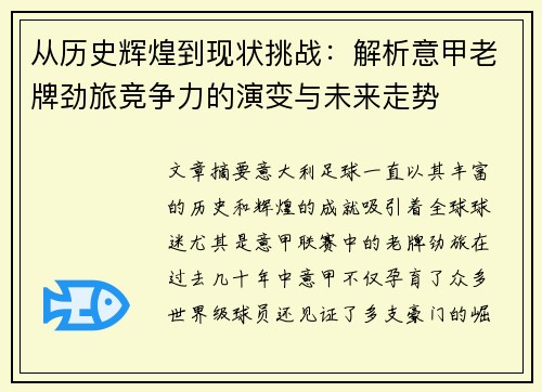 从历史辉煌到现状挑战：解析意甲老牌劲旅竞争力的演变与未来走势