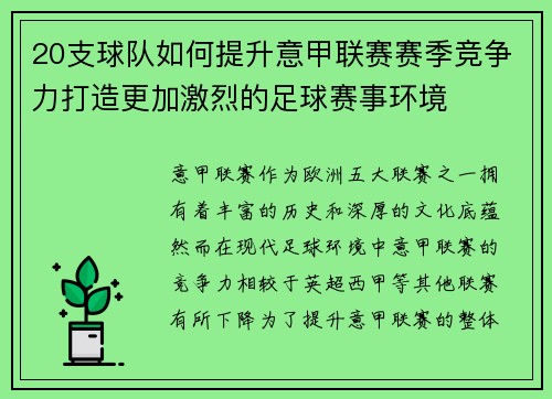 20支球队如何提升意甲联赛赛季竞争力打造更加激烈的足球赛事环境